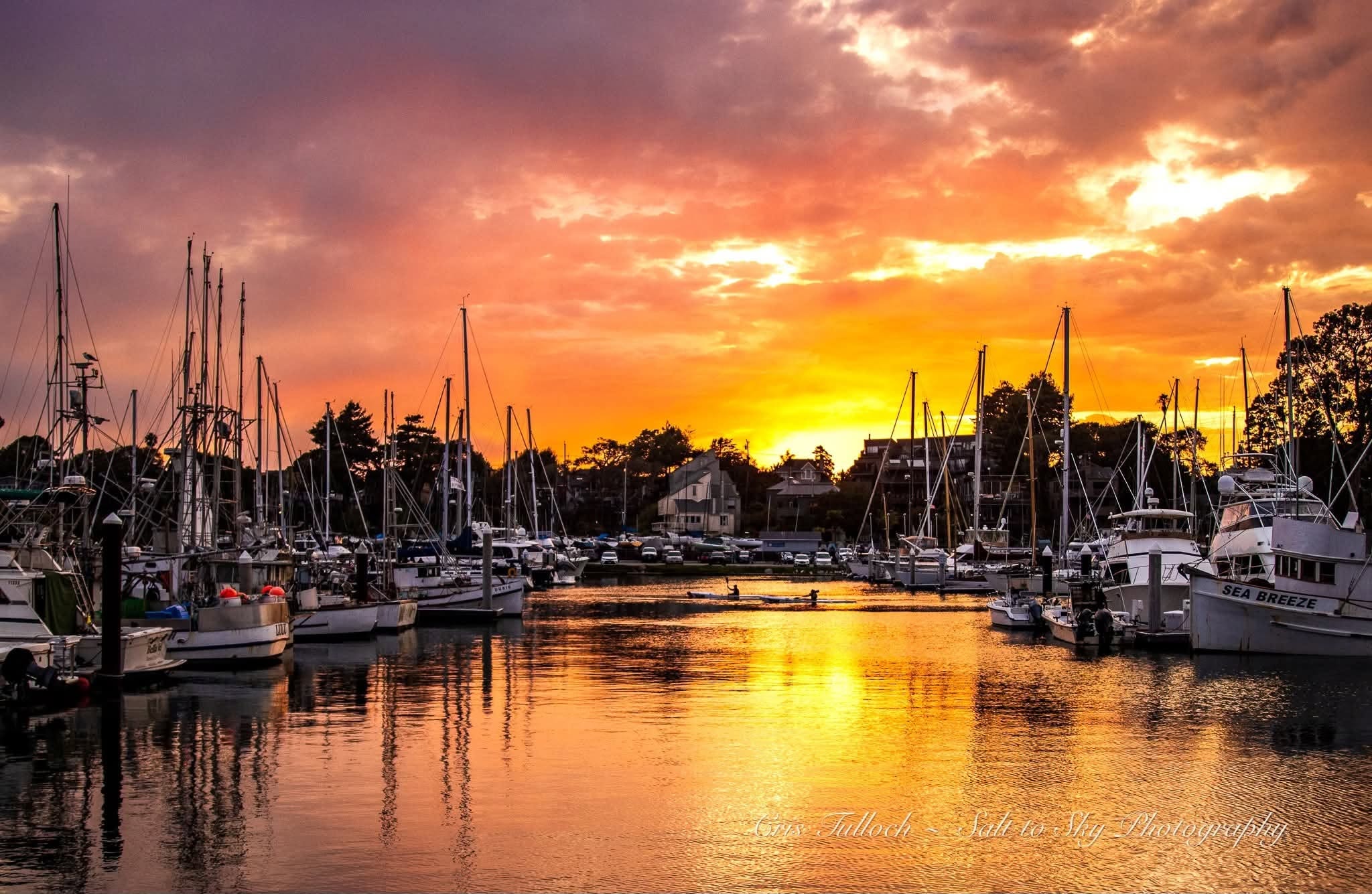 Santa Cruz Harbor