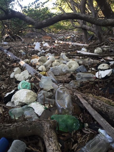 Marine Debris and Encampment Impact on Watershed
